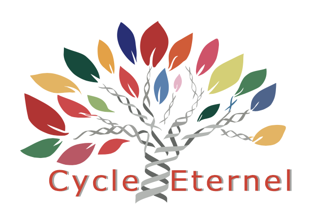 Cycle-eternel